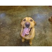 Leslie Schneider Noller's photo