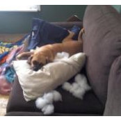 Susan Mussche's photo
