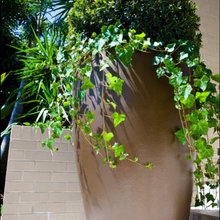 outdoor pottery