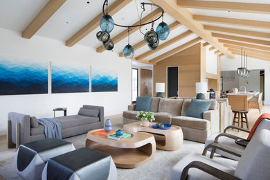 Living room - huge transitional living room idea in San Francisco