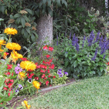 JARDÍN EN PALOMARES