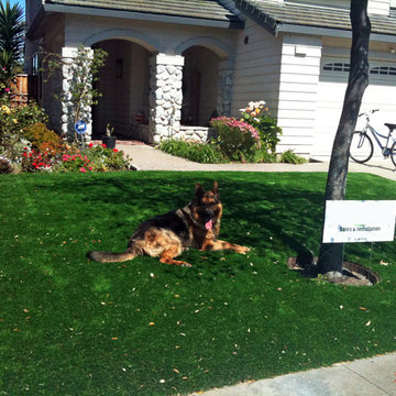 Global Syn-Turf artificial grass installation in Fremont, CA