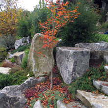 Stack Wall