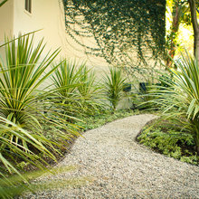 front yard