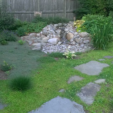 Rainwater Harvesting System & Planting