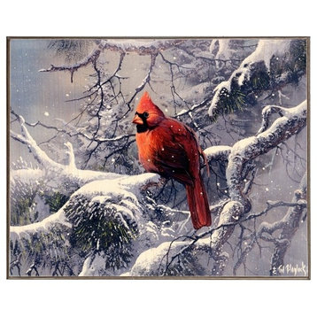 Male Cardinal, Birch Wood Print
