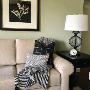 TRANSITIONAL LIVING ROOM & DINING ROOM