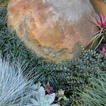 Garden for Reflection and Awareness