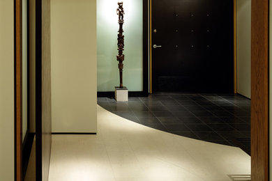 Entryway - modern entryway idea in Other