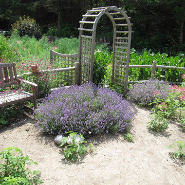 Littlefield Farm : My Garden