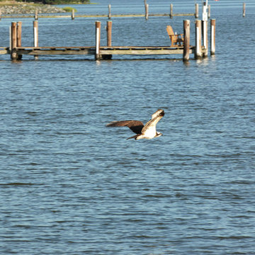St. Michael's Chesapeake Bay Estate