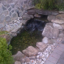 pond
