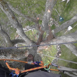 Cabling and Risk Management - Products