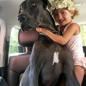 Barbara Pettit's photo