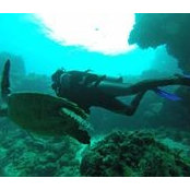 Lorena Ormeño's photo
