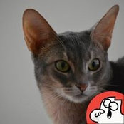 wendy ratzas foto
