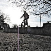Andy Qins foto
