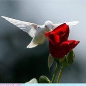 Michelle Mosier's photo