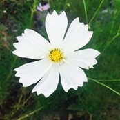 Nicey Evans's photo