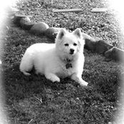 Cathi Gibeault's photo