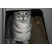 Lynn Morton's photo