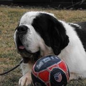 Rhonda Klein's photo