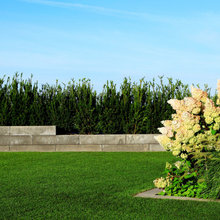 Garten - Einfache Ideen