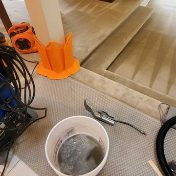 Carpet Cleaning a House Which Has Not Been Steam Cleaned for 8 Years Located in