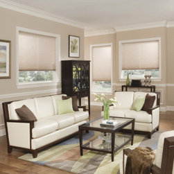 Light Filtering Window Treatments - Window Blinds