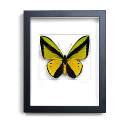 Wall Art - Products