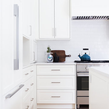 White Rock Kitchen Upgrade: Quartz Countertops (C5126) & Sink