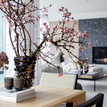 Contemporary City Renovation