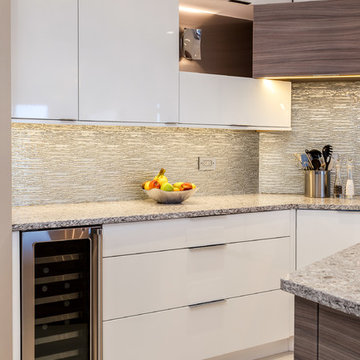 Modern Kitchen Renovation Project