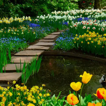 10 Spring Gardening Mistakes That Kill Your Plants (and How to Avoid Them)