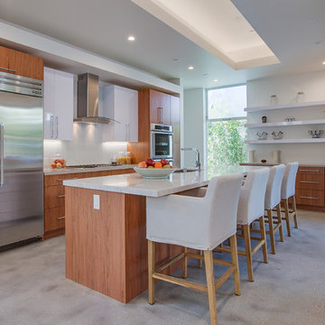 Pacific Palisades modern architectural