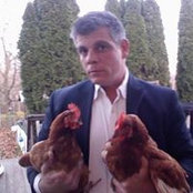 Paul DiMaggio's photo
