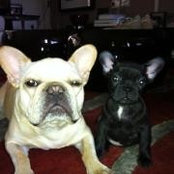 Candy Alhadeff's photo