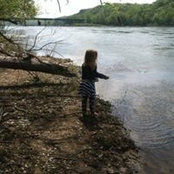 Toni Gardiner's photo