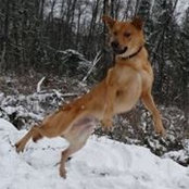 Maren Brinson's photo