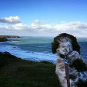 Richard Whitby's photo