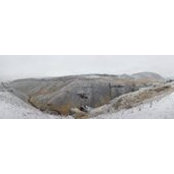 Katherine Williams's photo