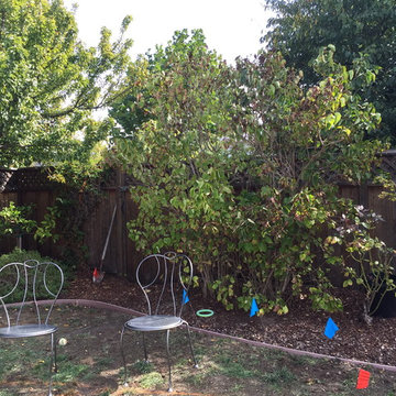 The Lawn Goodbye & Hello To A New Inviting Spaces By Kim