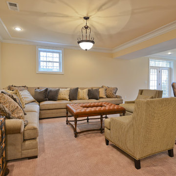Family room - Lower level