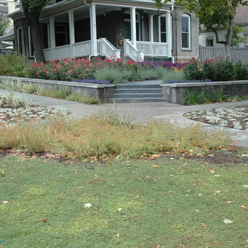 Victorian 4th Avenue Colorful Water Wise Front Yard