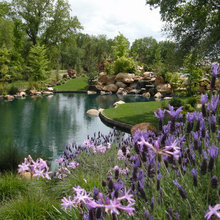 Farm Pond Ideas