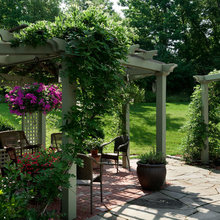 Outdoor plants