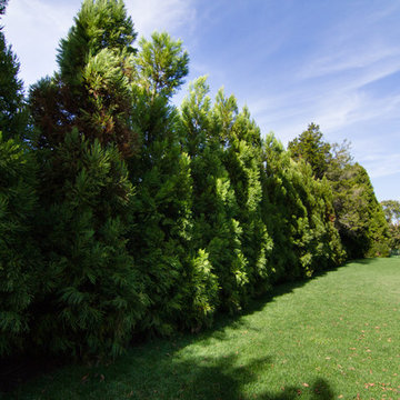 Further Lane