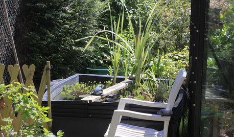 Conseils de pro pour aménager un bassin récup'