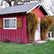 Rustic Shed