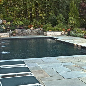 Geometric Pool with Landscaping (Long Island/NY):